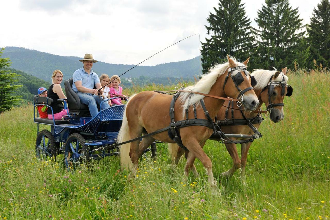 Hochgallinger Hof Siegsdorf Buitenkant foto